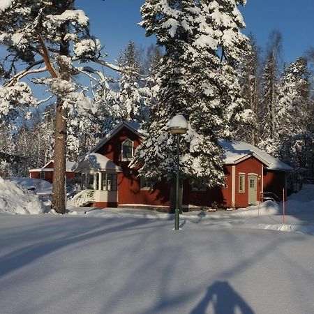Bergvik Sunny Hill Cottage מראה חיצוני תמונה